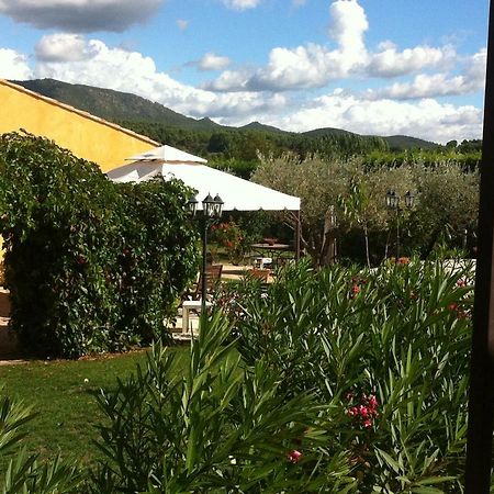 Les Cigales Des Pres Appartement Aups Εξωτερικό φωτογραφία
